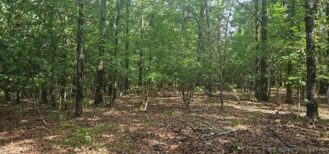 3137 E 2015 Road, Sawyer, Oklahoma 74756, USA