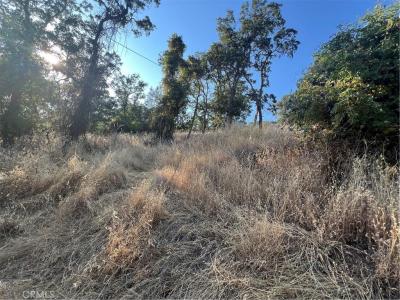 11030 Pioneer Dr, Clearlake, カリフォルニア 95422, アメリカ合衆国