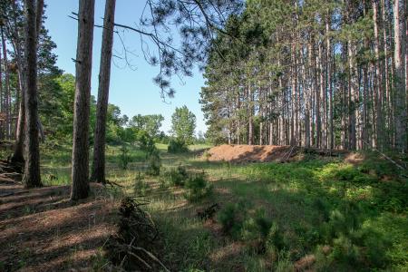 TBD Heather Street NW, Isanti, Minnesota 55040, Estados Unidos