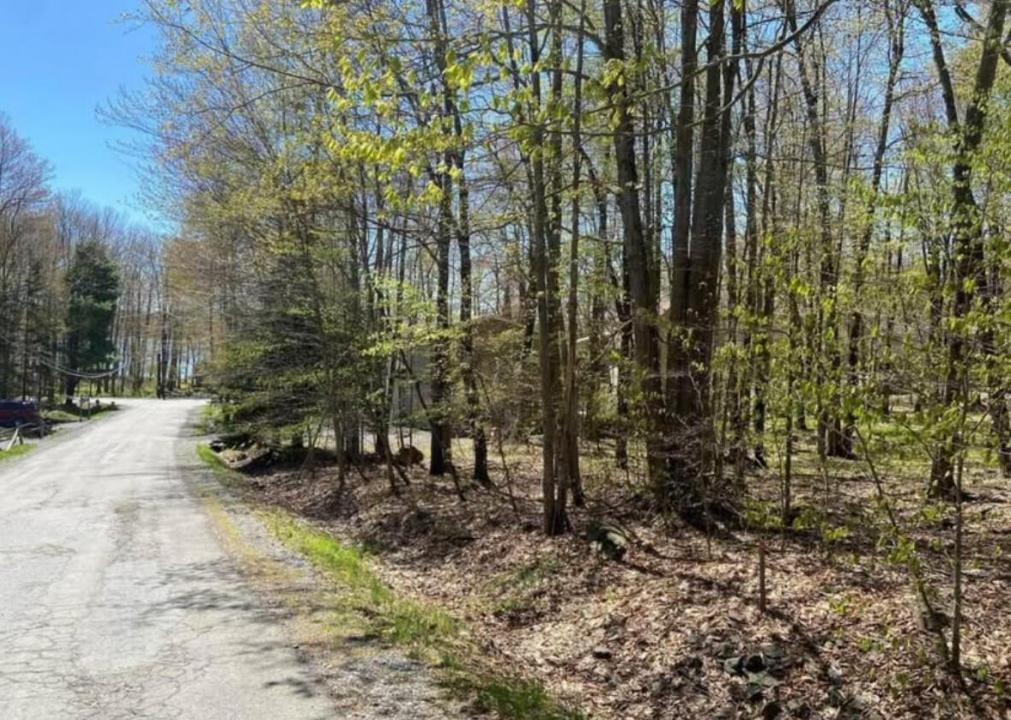 5 Skippack Trl 5 Trail, Pocono Lake, Pennsylvania 18347, Amerika Birleşik Devletleri
