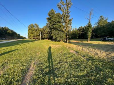 7282 Private Road 1830, West Plains, Missouri 65775, Estados Unidos