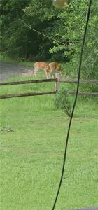 349 Roy Cooley Road, Deridder, Louisiana 70634, Stati Uniti