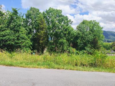 Lot 13 Mountain View Drive, Bristol, Теннесси 37620, Соединенные Штаты