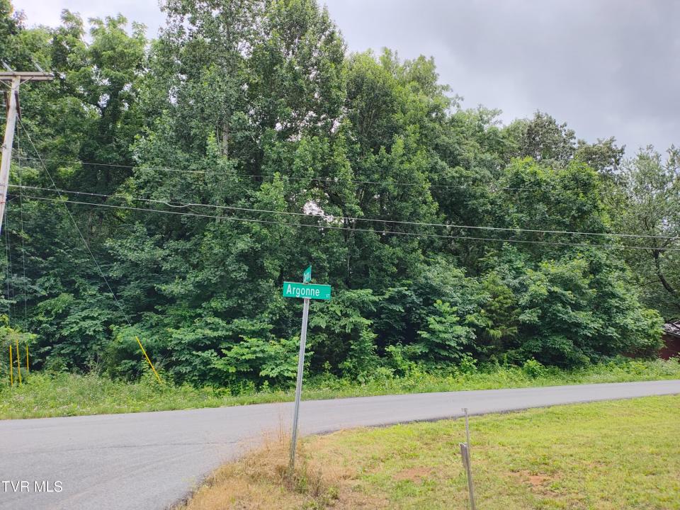 Lot 21 Argonne Street, Kingsport, Tennessee 37664