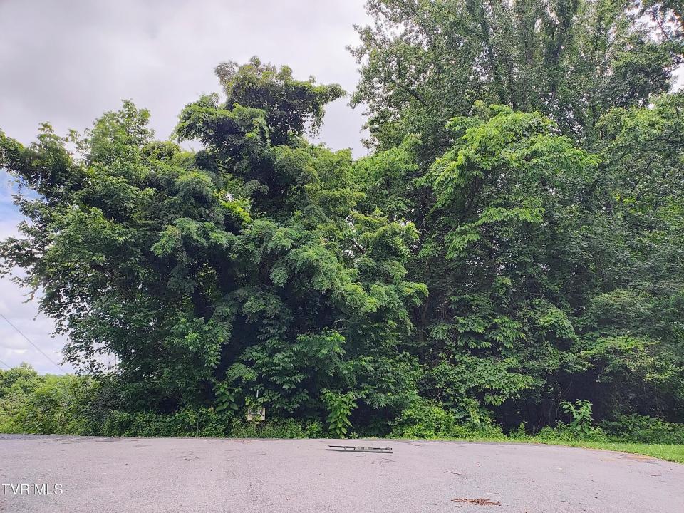 Lot 51 Raven Circle, Kingsport, Tennessee 37664