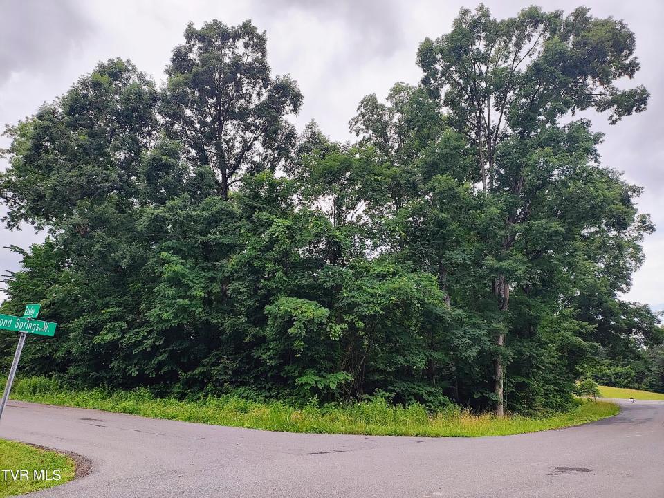 Lot 16 Easley Drive, Kingsport, Tennessee 37664