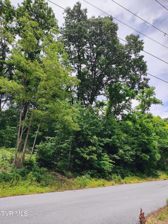 Lot 5 Pond Springs W Road, Kingsport, Tennessee 37664, Estados Unidos