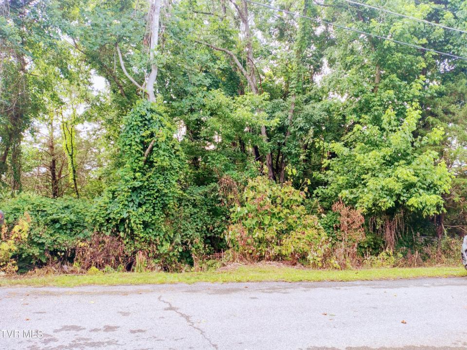 Lot 10 Highland Circle, Bluff City, Tennessee 37618