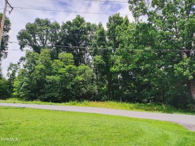 Lot 2 Pond Springs W Road, Kingsport, Tennessee 37664, USA