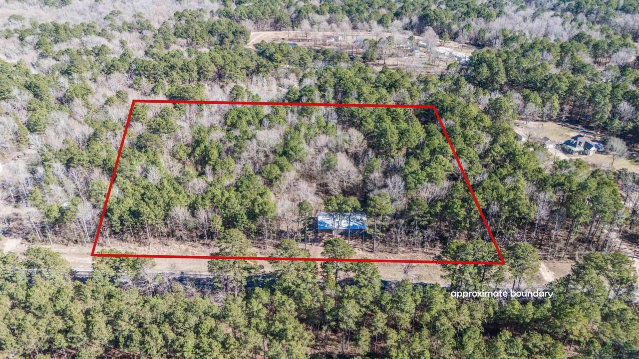 8282 Farm to Market 134, Karnack, Texas 75661, Estados Unidos