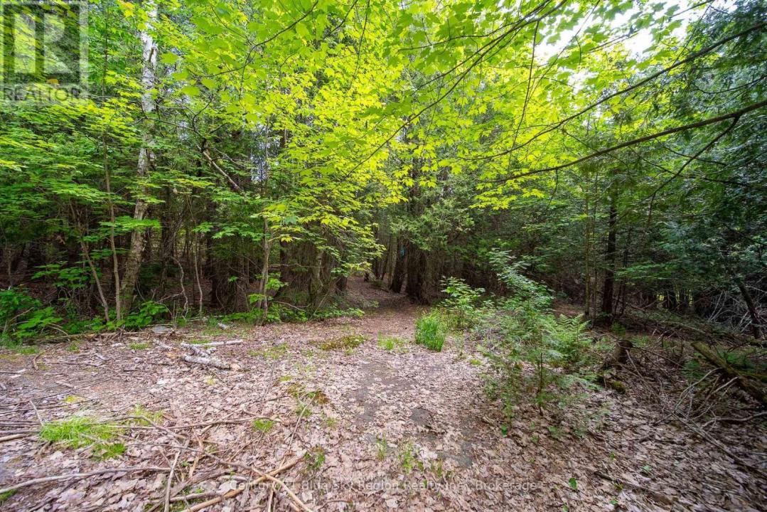 LOT 20 COLLINS DRIVE, North Bay (college Heights), Ontario P1B 8G3, Kanada