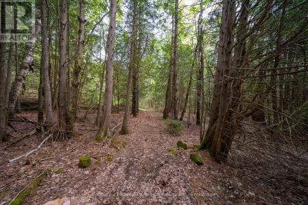 LOT 20 COLLINS DRIVE, North Bay (college Heights), Ontario P1B 8G3, Kanada