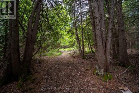 LOT 20 COLLINS DRIVE, North Bay (college Heights), Ontario P1B 8G3, Kanada