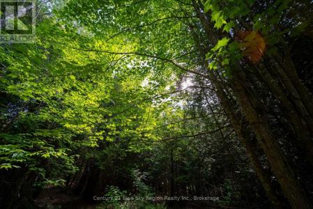 LOT 20 COLLINS DRIVE, North Bay (college Heights), Ontario P1B 8G3, Kanada