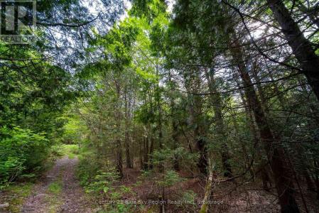 LOT 20 COLLINS DRIVE, North Bay (college Heights), Ontario P1B 8G3, Kanada