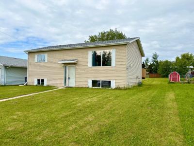 4736 49 STREET, Caroline, Alberta T0M 0M0, Canada