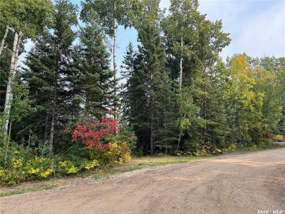 1301 LAURIE PLACE, Paddockwood Rm No. 520, Saskatchewan S0J 0N0, Canada