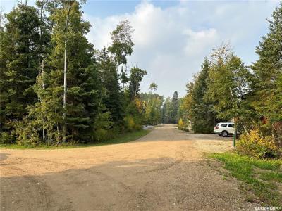 701 MICHAEL JOHN PLACE, Paddockwood Rm No. 520, Saskatchewan S0J 0N0, Canada