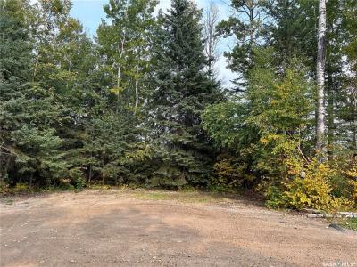 701 MICHAEL JOHN PLACE, Paddockwood Rm No. 520, Saskatchewan S0J 0N0, Canada