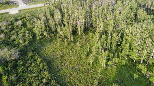 333 PRAIRIE ROAD, Mitchell, Manitoba R5G 2W2, Canada