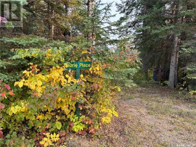 1301 LAURIE PLACE, Paddockwood Rm No. 520, Saskatchewan S0J 0N0, Canada