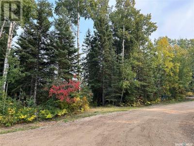 1301 LAURIE PLACE, Paddockwood Rm No. 520, Saskatchewan S0J 0N0, Canada