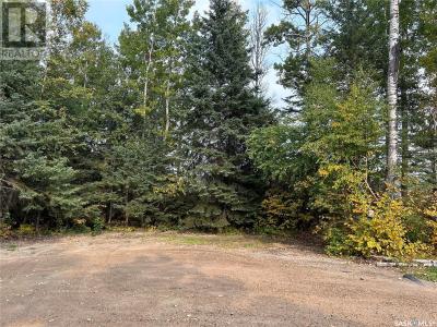701 MICHAEL JOHN PLACE, Paddockwood Rm No. 520, Saskatchewan S0J 0N0, Canadá