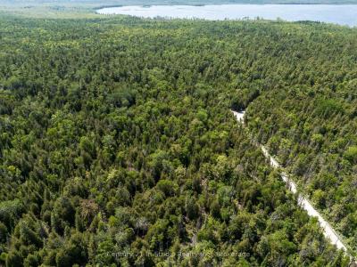 LOT 14 BOAT LAKE ROAD, South Bruce Peninsula, Ontario N0H 2T0, Canada