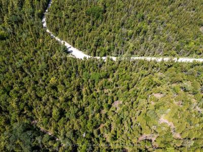 LOT 14 BOAT LAKE ROAD, South Bruce Peninsula, Ontario N0H 2T0, Canada