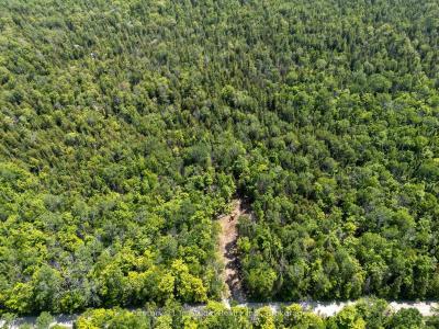 LOT 14 BOAT LAKE ROAD, South Bruce Peninsula, 安大略省 N0H 2T0, 加拿大