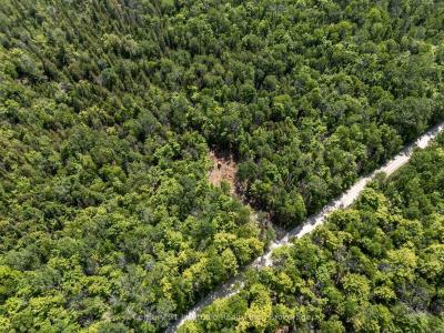 LOT 14 BOAT LAKE ROAD, South Bruce Peninsula, 安大略省 N0H 2T0, 加拿大