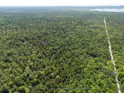 LOT 14 BOAT LAKE ROAD, South Bruce Peninsula, Ontario N0H 2T0, Canada