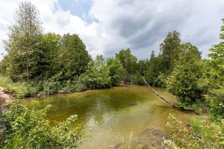 135389 CONCESSION 8 ROAD, Chatsworth, Онтарио N0H 1K0, Канада