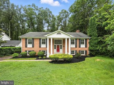12134 Stirrup Road, Reston, Virginia 20191, USA