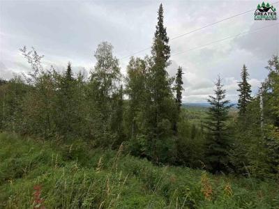 1528 ALDERWOOD DRIVE, Fairbanks, Alaska 99709, États-Unis