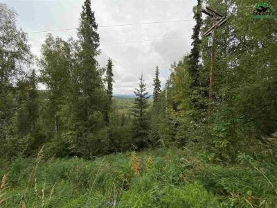 1528 ALDERWOOD DRIVE, Fairbanks, Alaska 99709, États-Unis