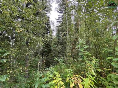 1528 ALDERWOOD DRIVE, Fairbanks, Alaska 99709, États-Unis