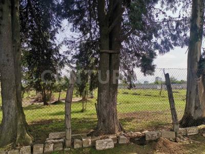 Camino al Monte por Matamoros s/n,, Ayapango, ولاية مكسيكو 56760, المكسيك