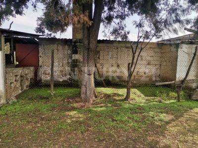 Camino al Monte por Matamoros s/n,, Ayapango, ولاية مكسيكو 56760, المكسيك