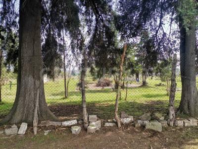 Camino al Monte por Matamoros s/n,, Ayapango, ولاية مكسيكو 56760, المكسيك