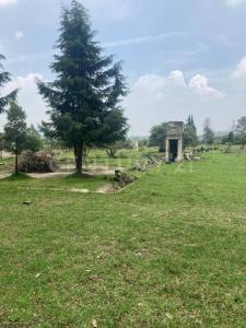 Camino al Monte por Matamoros s/n,, Ayapango, ولاية مكسيكو 56760, المكسيك