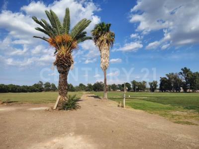 Camino Rancho El Encino SN,, Tlaquepaque, Jalisco 45602, Mexico