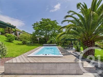 Halsou, Aquitaine 64480, France