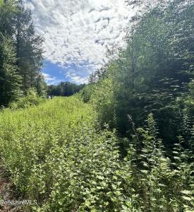 1282 Burt Hill Rd, Tolland, מסצ'וסטס 01034, ארצות הברית של אמריקה 