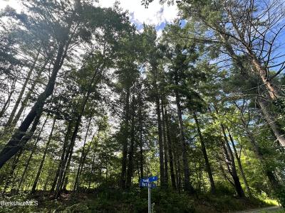 1282 Burt Hill Rd, Tolland, מסצ'וסטס 01034, ארצות הברית של אמריקה 