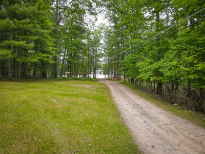18680 Red Pine Drive, Hillman, Michigan 49746, USA