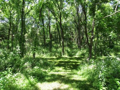 4 acres +- Glacier View Court, Milton, Wisconsin 53563, Stati Uniti