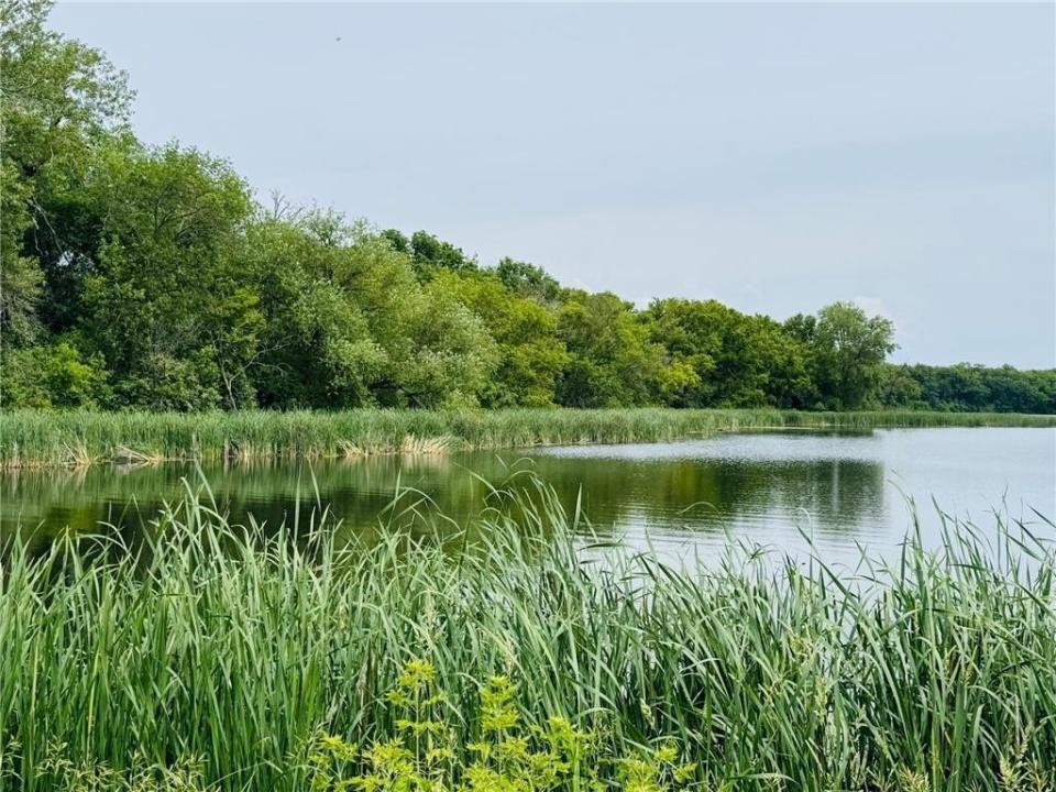 21631 Kandi-Swift Road NW, Norway Lake Twp, مينيسوتا 56289, الولايات المتحدة