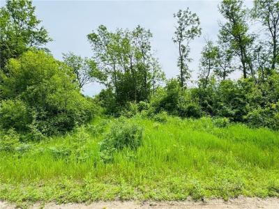 21631 Kandi-Swift Road NW, Norway Lake Twp, Minnesota 56289, USA