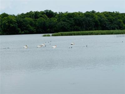 21631 Kandi-Swift Road NW, Norway Lake Twp, مينيسوتا 56289, الولايات المتحدة